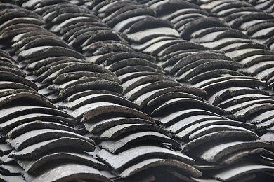 为保证游戏的品质 《家园3》延期至明年上半年发行