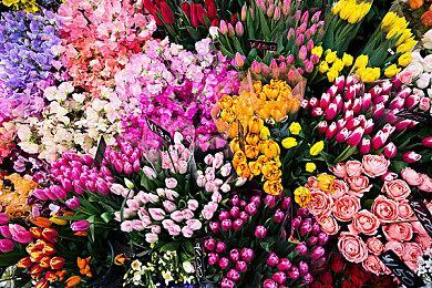 Epic喜加一：《911接线员》免费领取